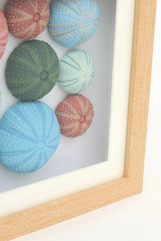 Cuadro de erizos de mar de colores