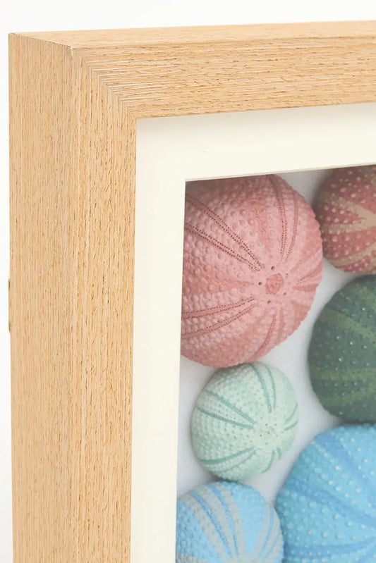 Cuadro de erizos de mar de colores