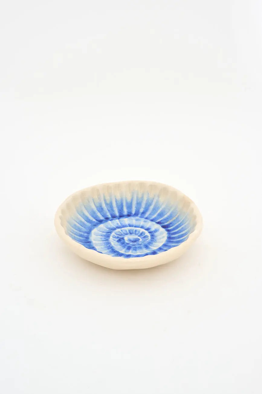 Plato con caracola azul pintada en el cuenco