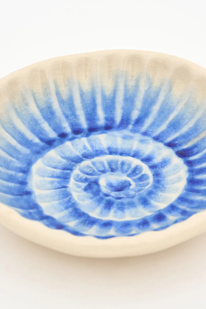 Plato con caracola azul pintada en el cuenco