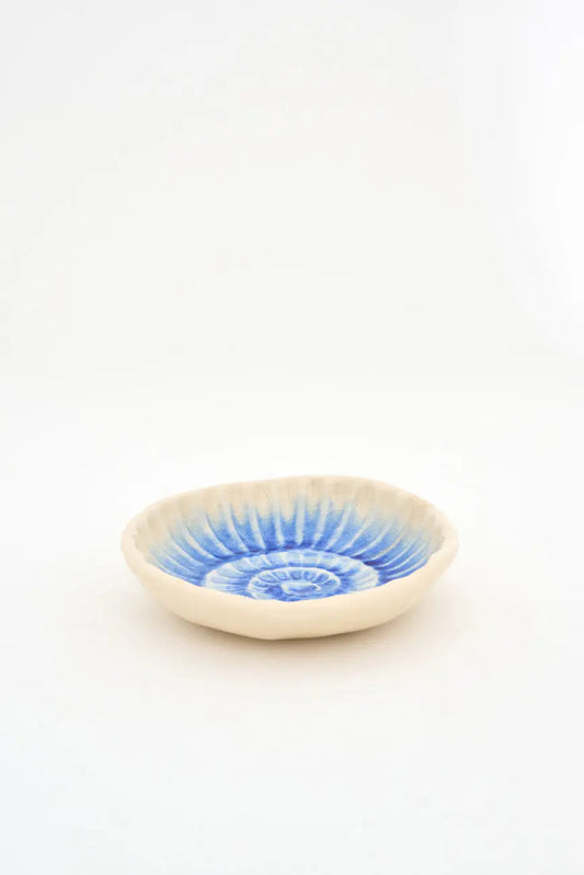 Plato con caracola azul pintada en el cuenco