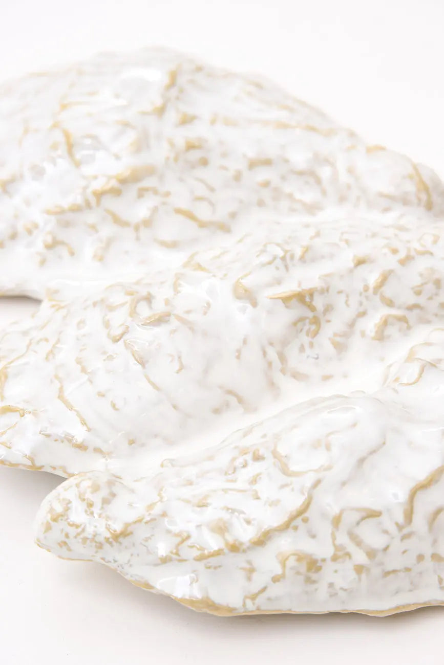 Oyster-shaped ceramic bowl