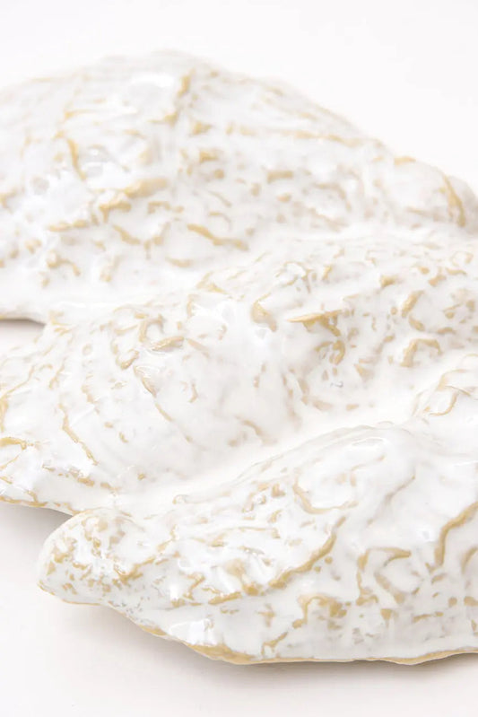 Oyster-shaped ceramic bowl