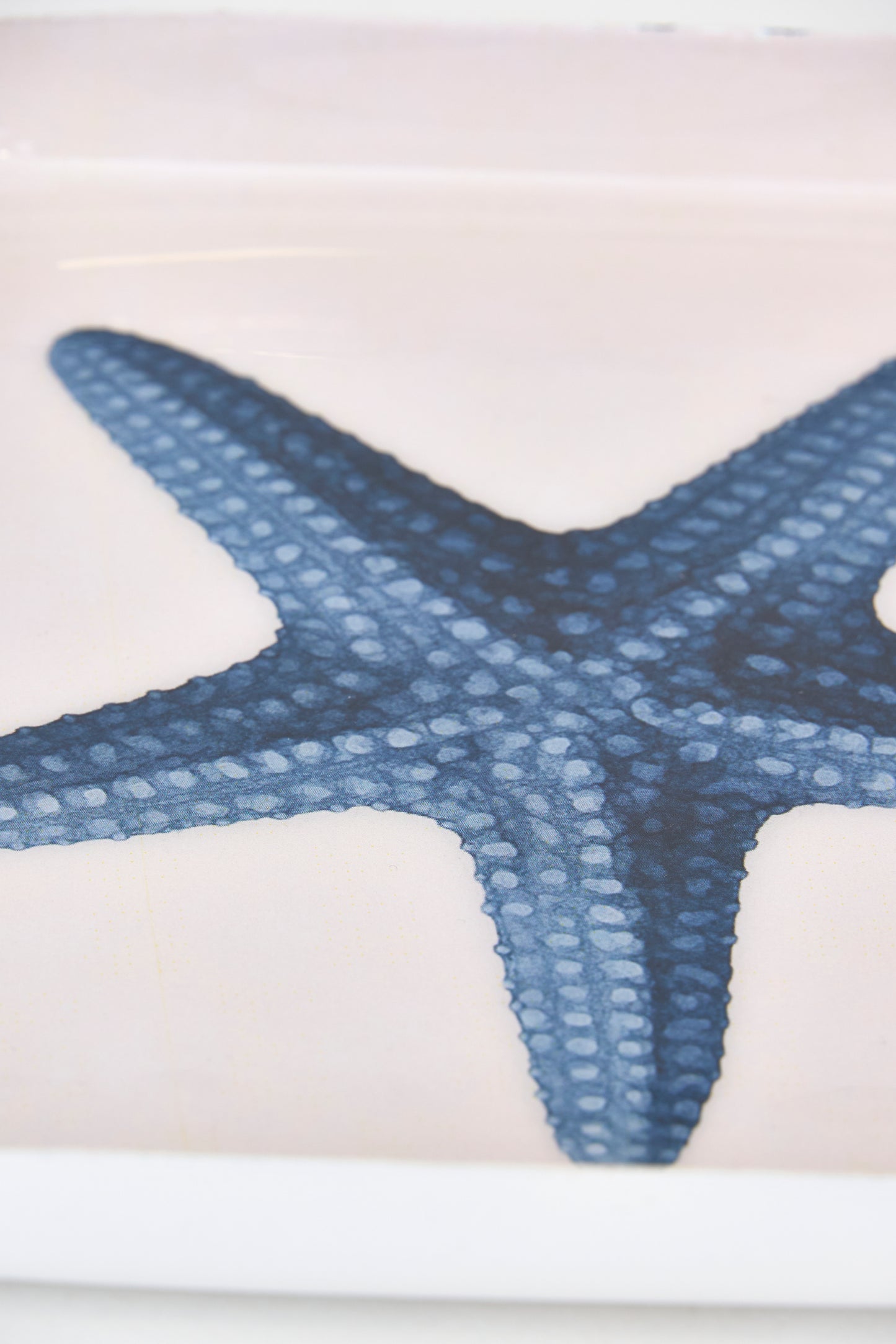 starfish metal tray