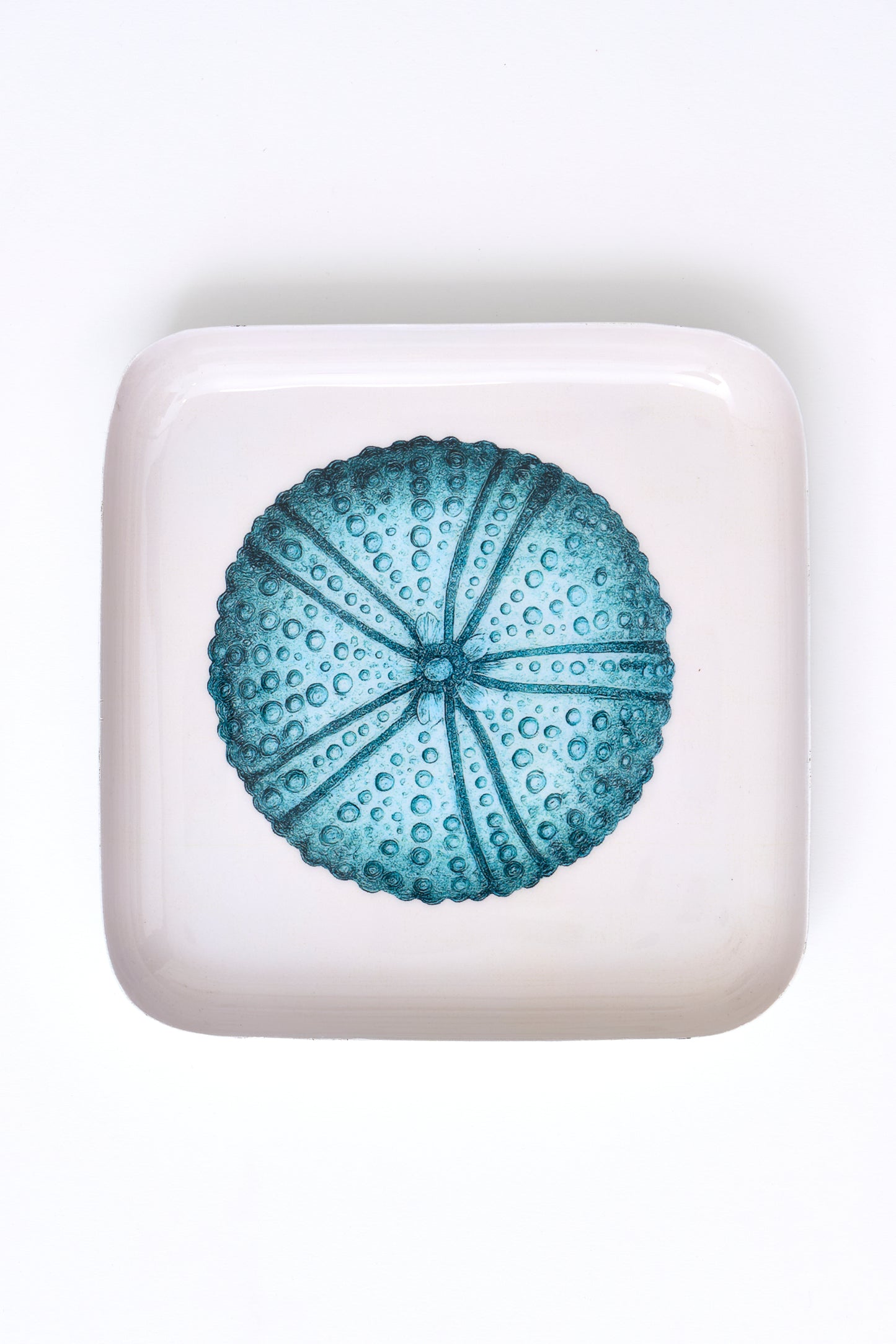 Sea urchin metal tray