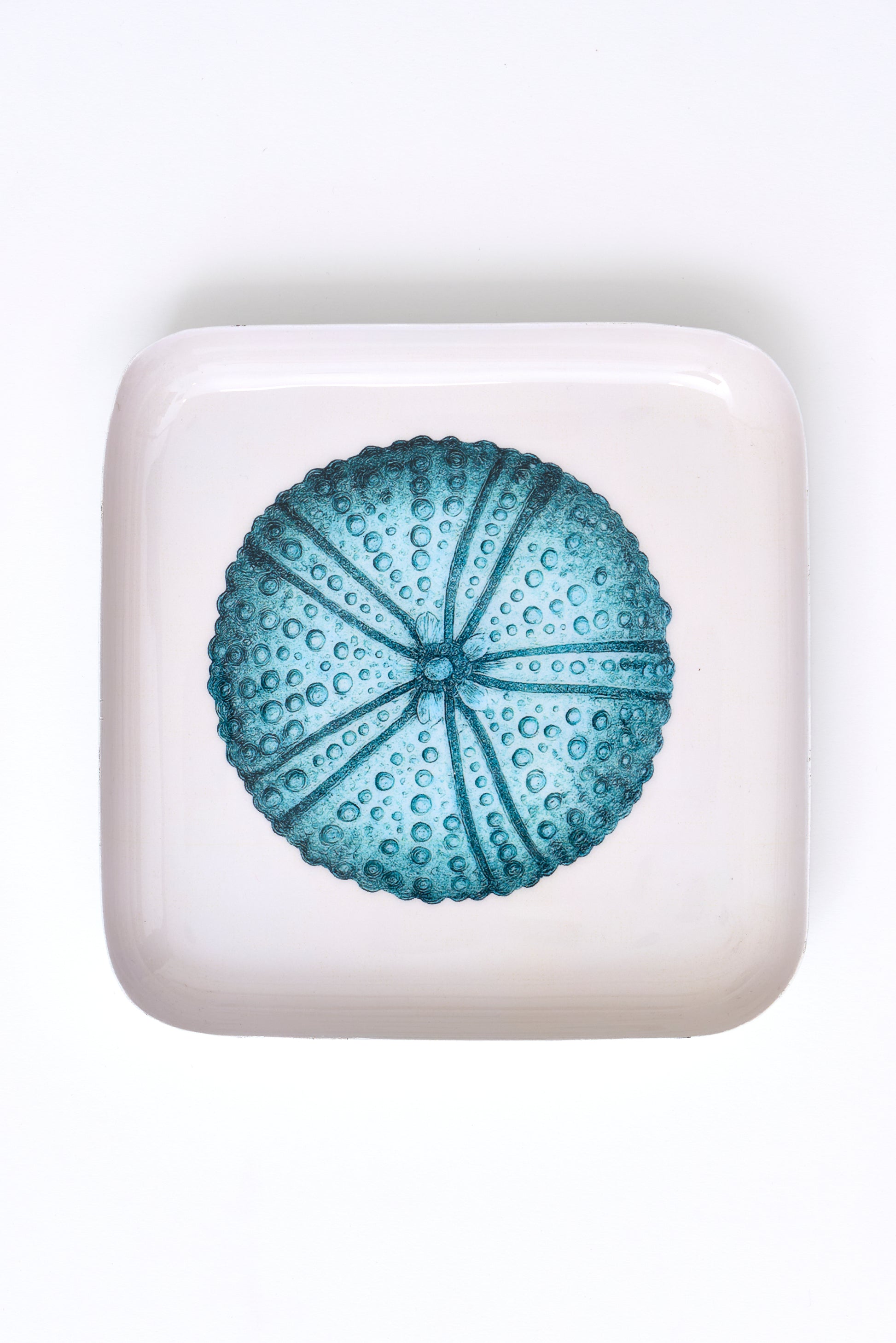 Sea urchin metal tray