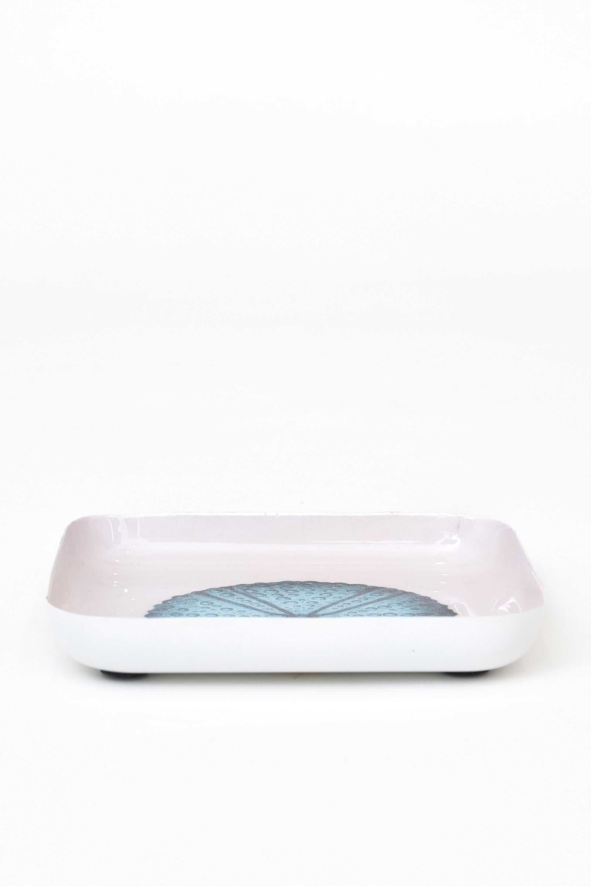 Sea urchin metal tray