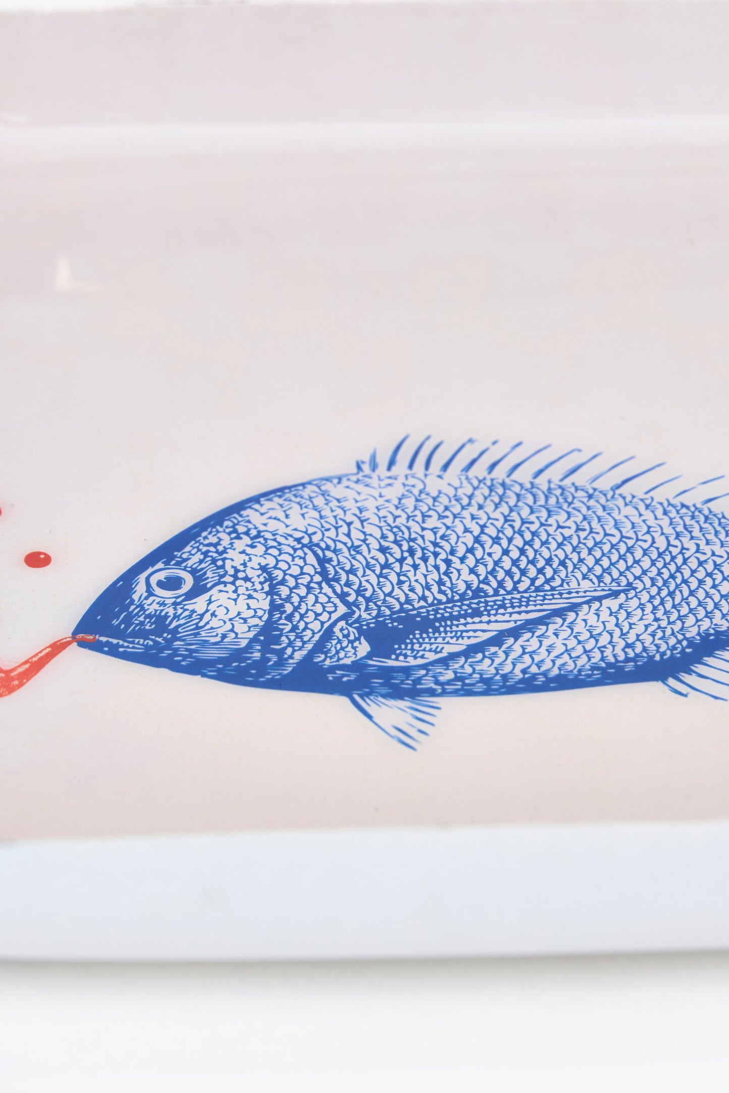 Bandeja metal pez ilustrado