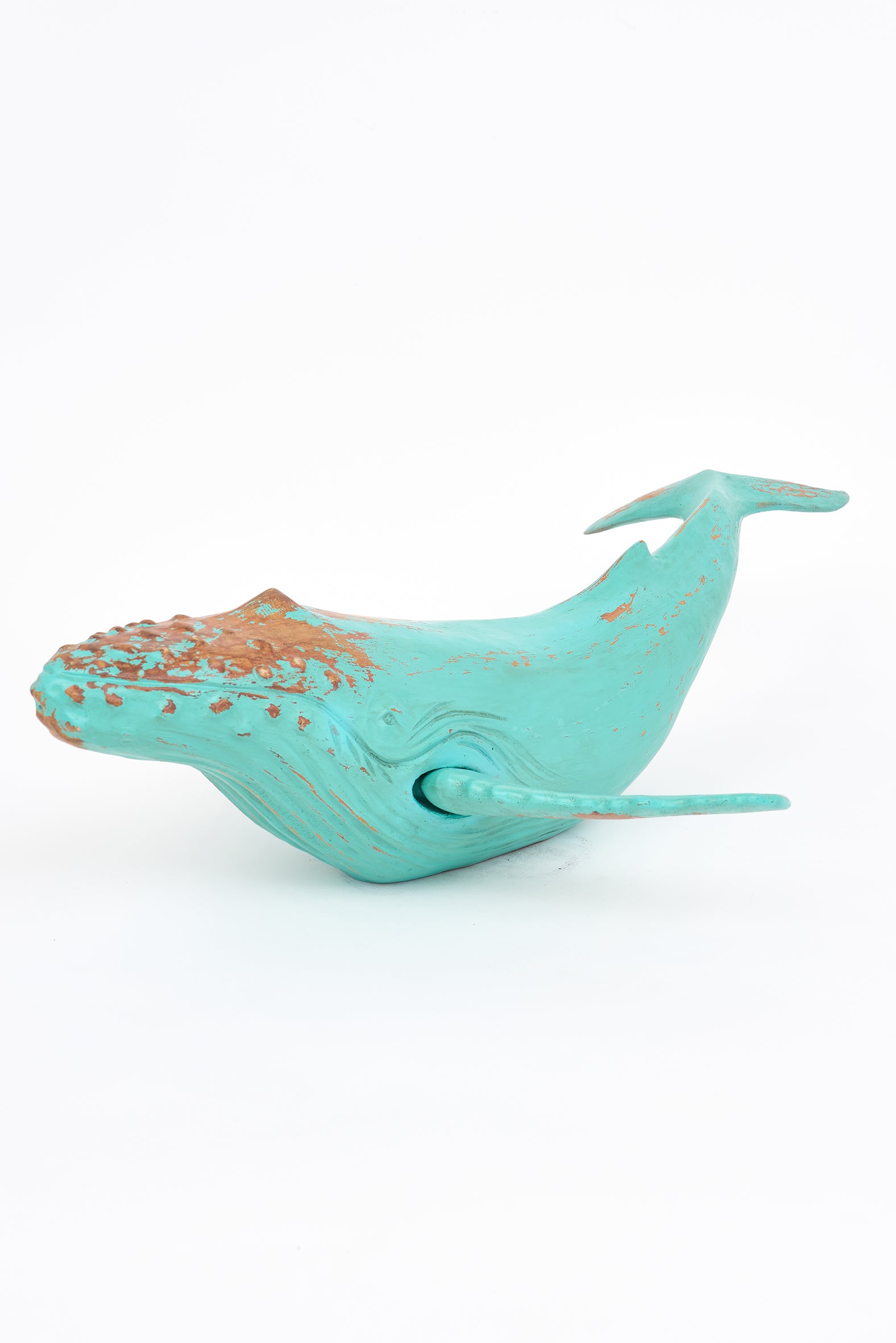 Baleine à bosse grande