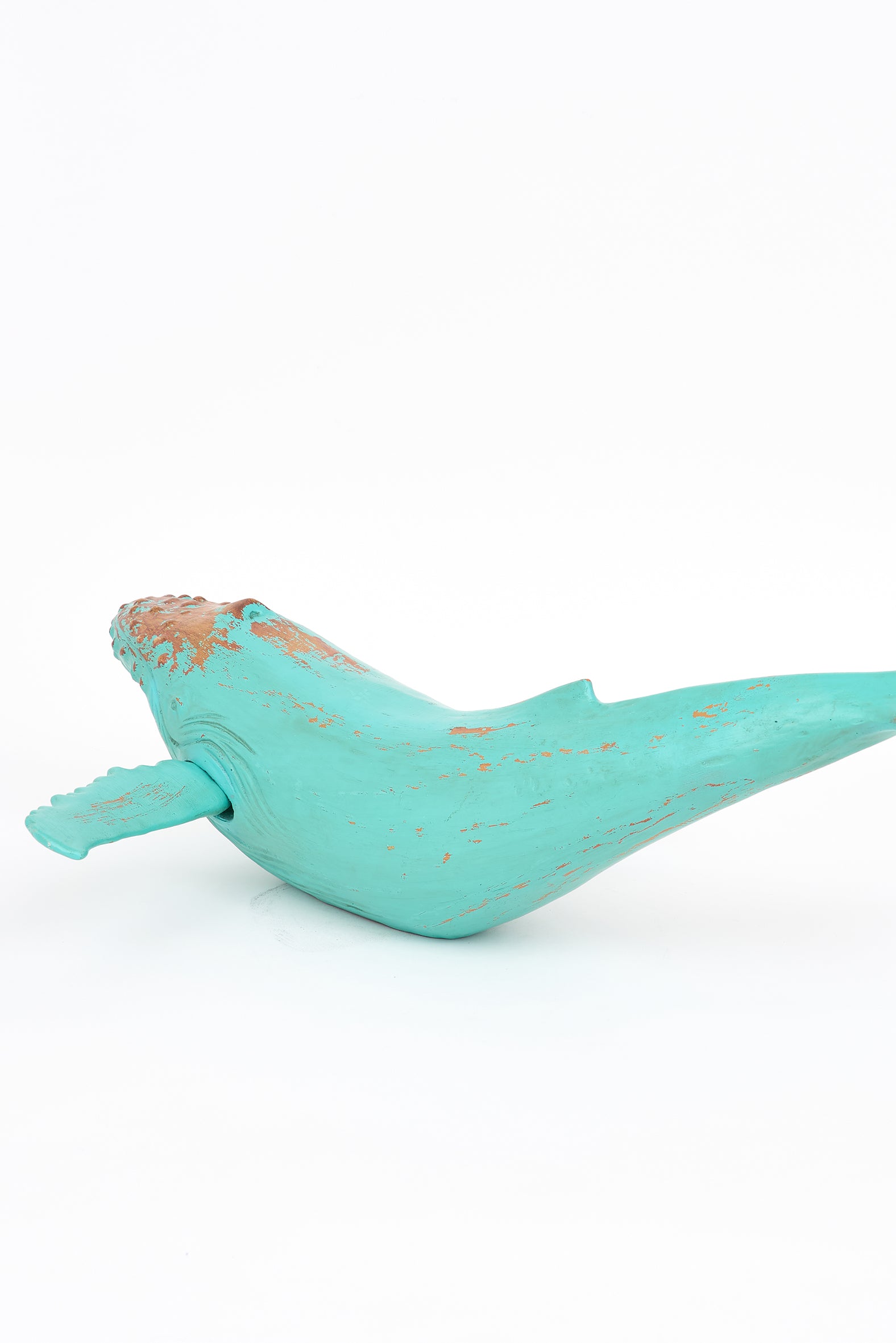 Baleine à bosse grande