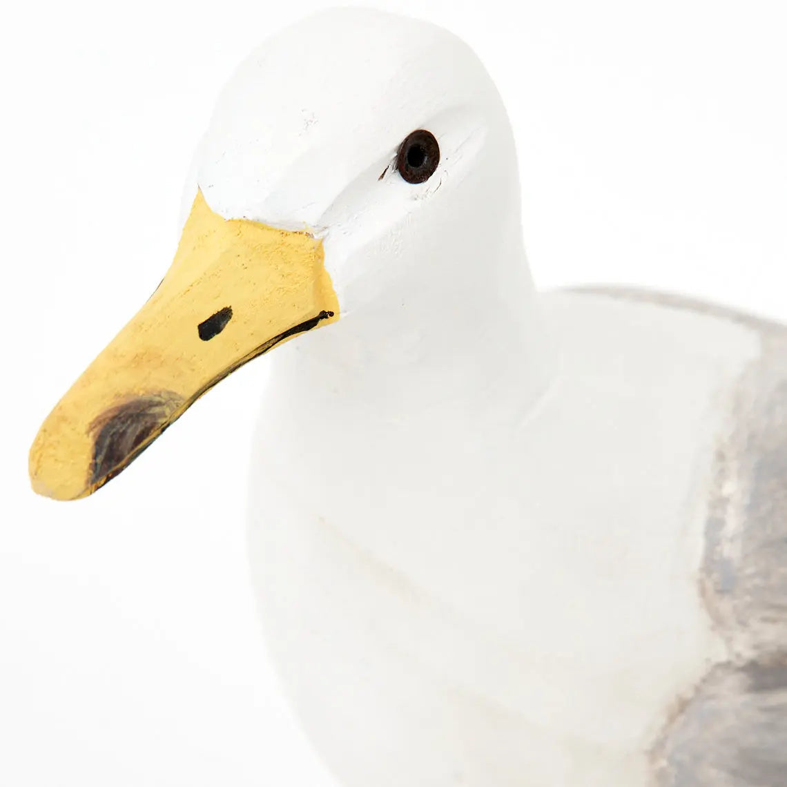 Gaviota sobre tronco - D2254 Batela