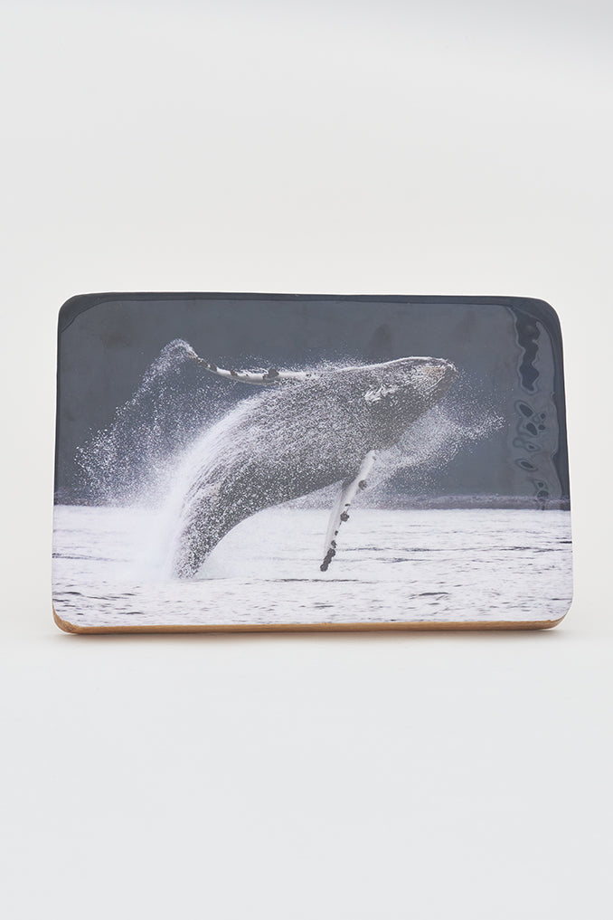 Foto impresa sobre taco de madera con ballena