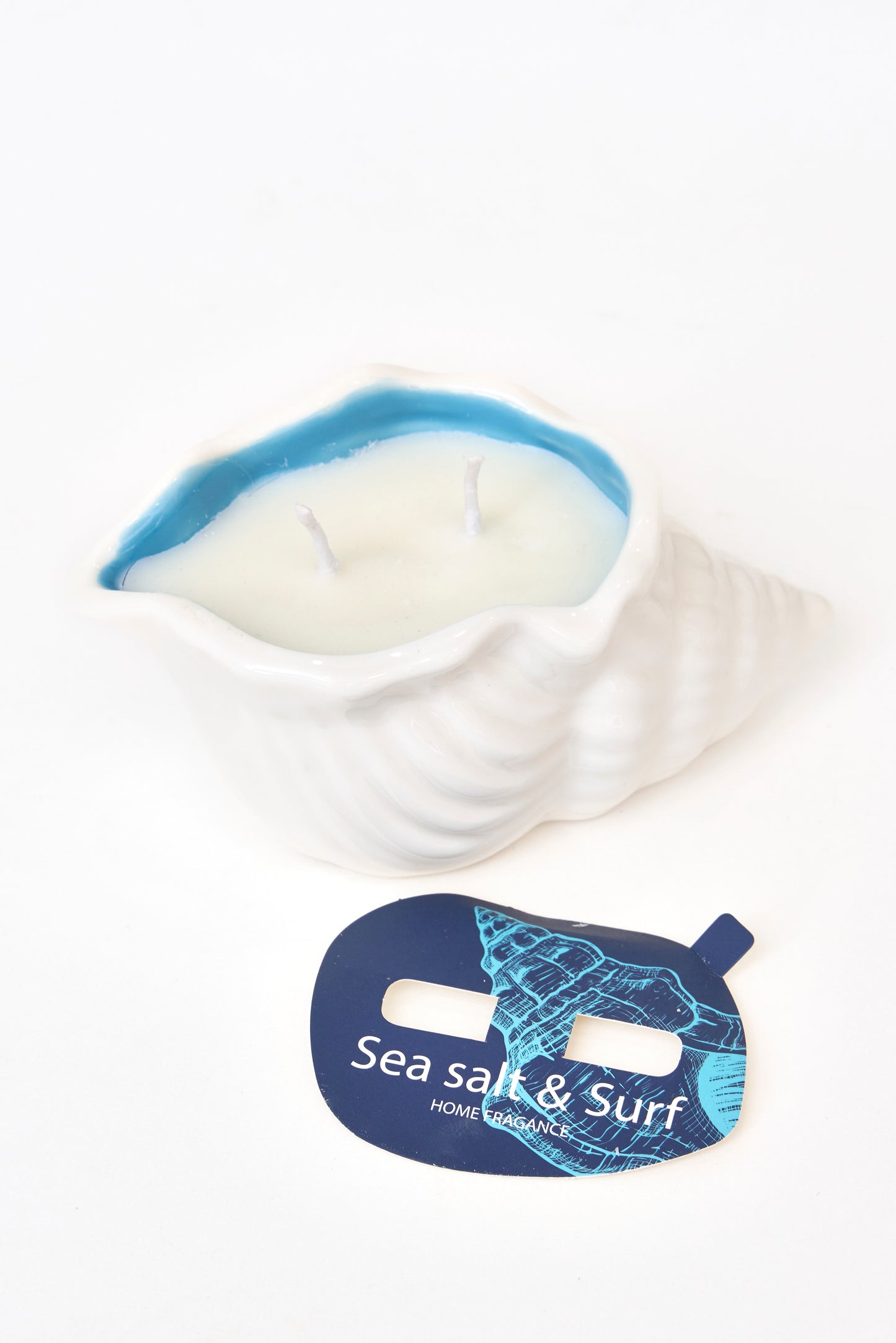 Vela decorativa en concha marina