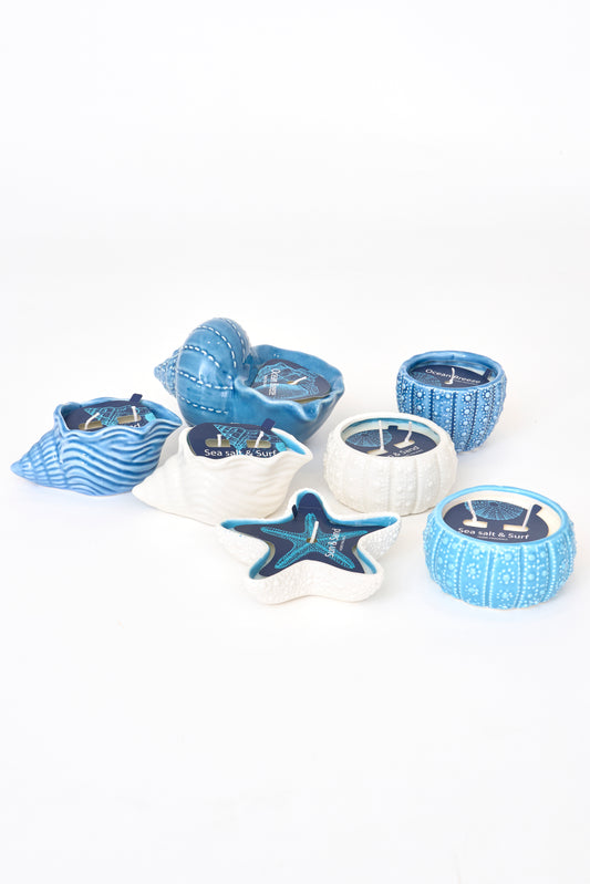 Decorative candle in a seashell