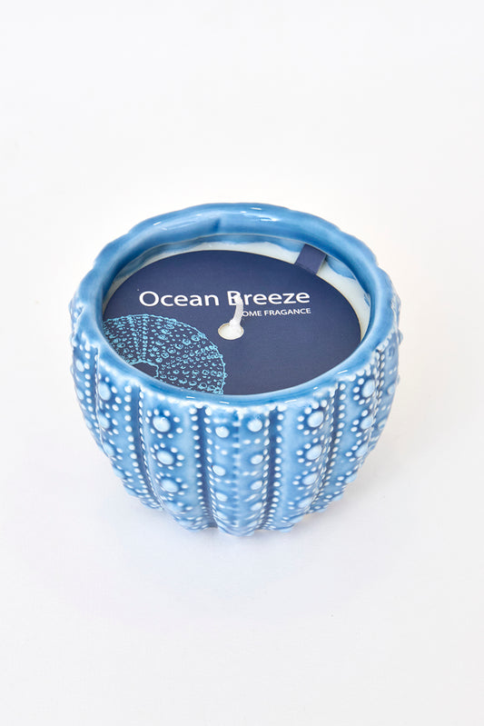 Decorative sea urchin candle Ø: 8.8 cm