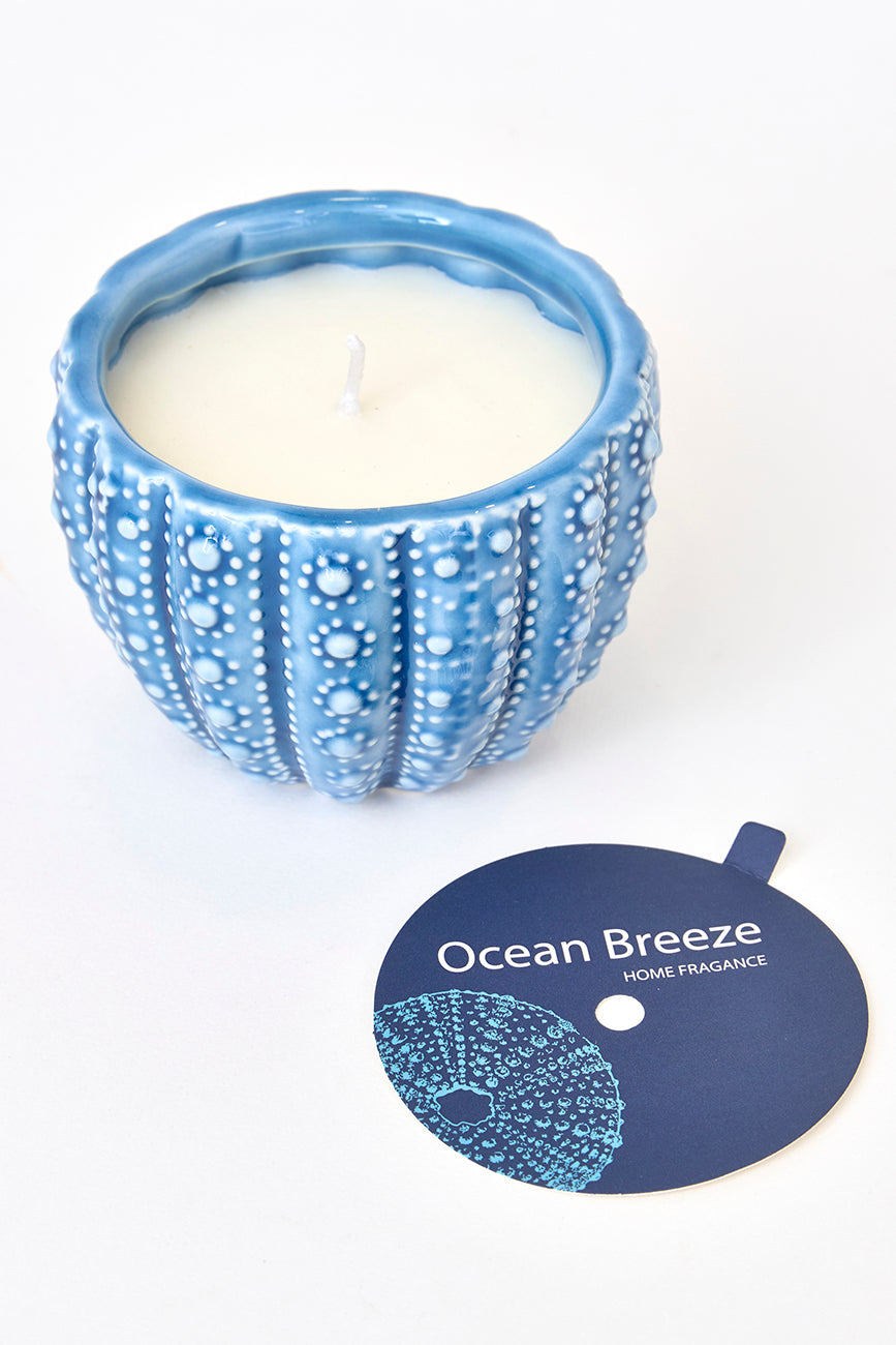 Vela decorativa en erizo marino Ø: 8,8 cm