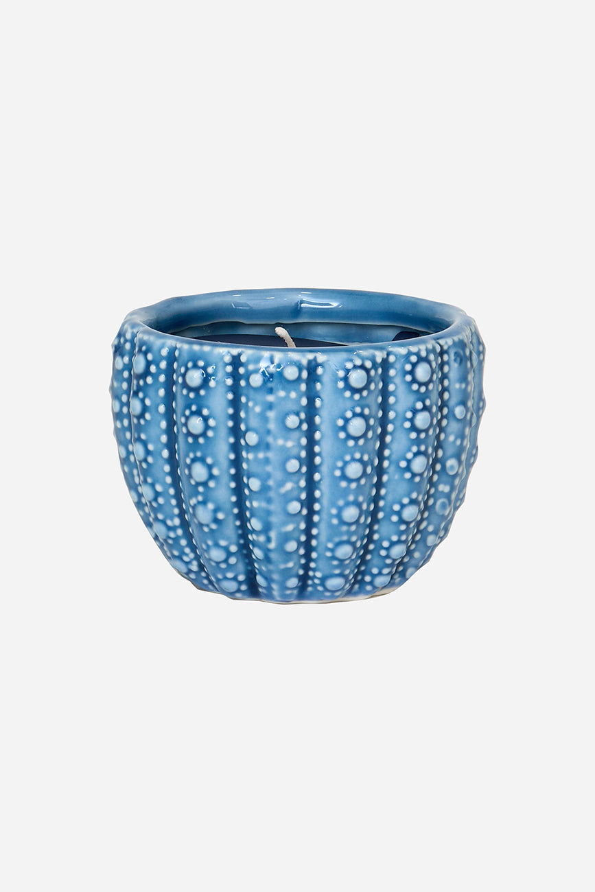 Vela decorativa en erizo marino Ø: 8,8 cm