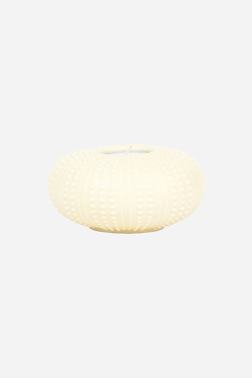 Ceramic sea urchin candle holder