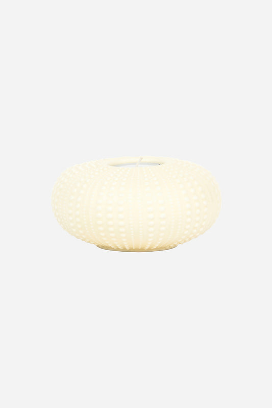 Ceramic sea urchin candle holder