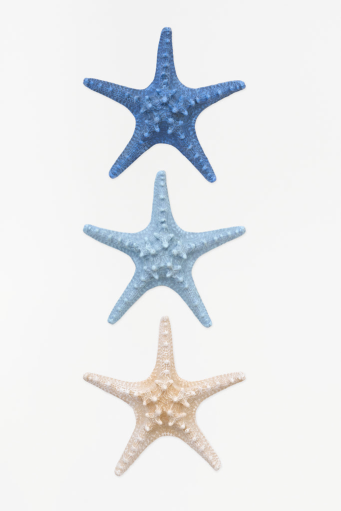 3 estrellas de mar decorativas en resina