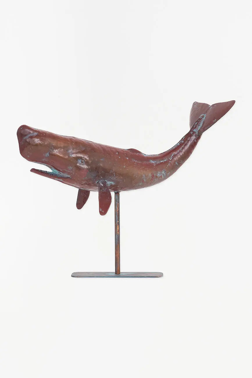 Cachalote con base en metal tamaño grande - BATELA