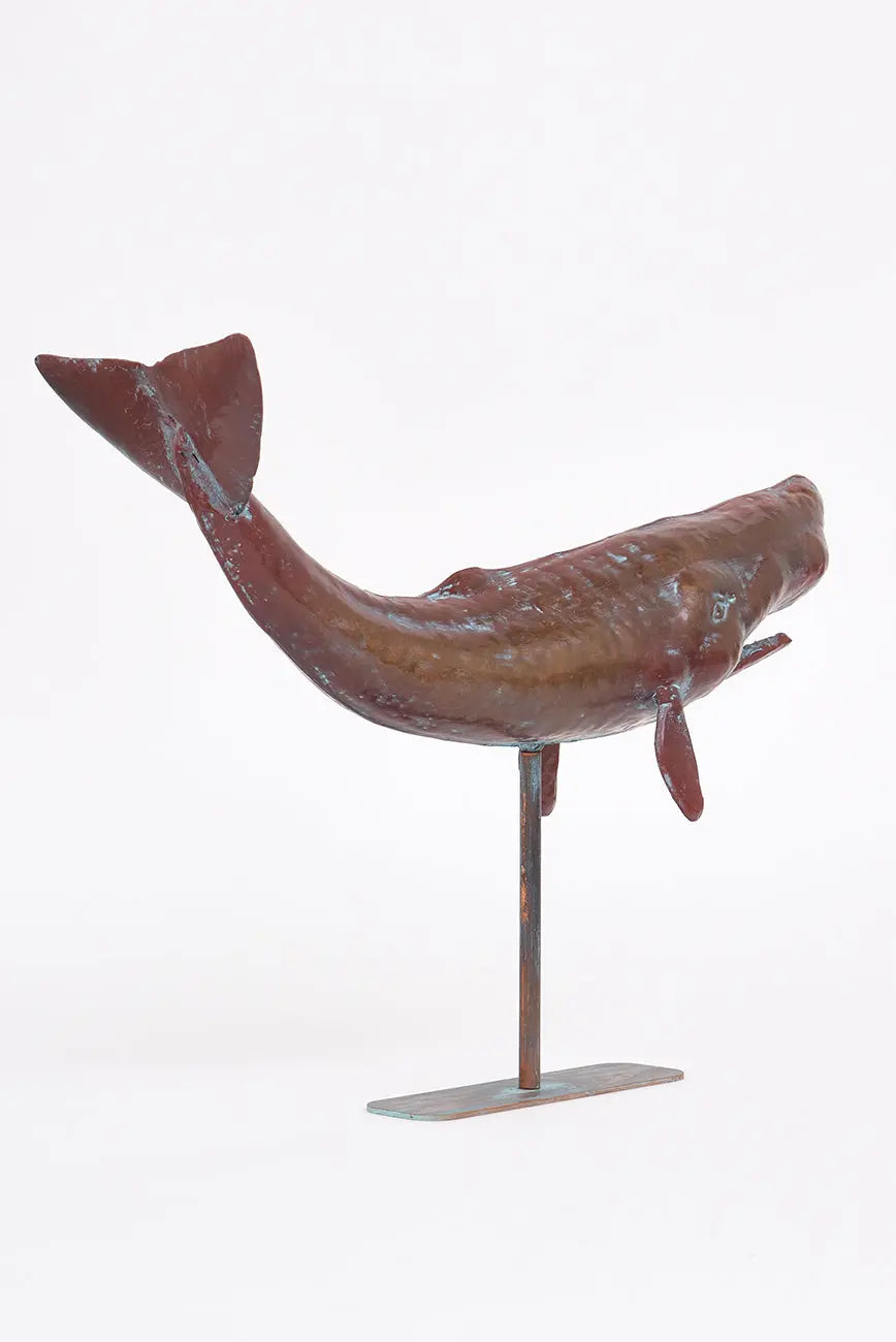 Cachalote con base en metal tamaño grande - BATELA