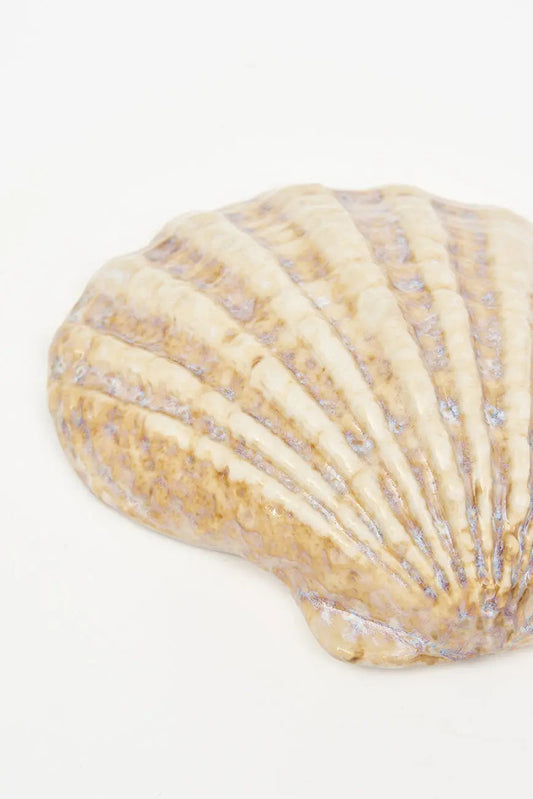 Set of 2 scallop shell-shaped plates or bowls