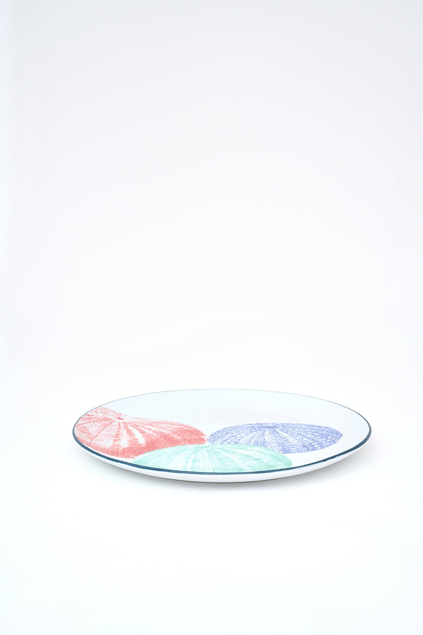 Gresezko plater handia itsas trikuen irudiekin