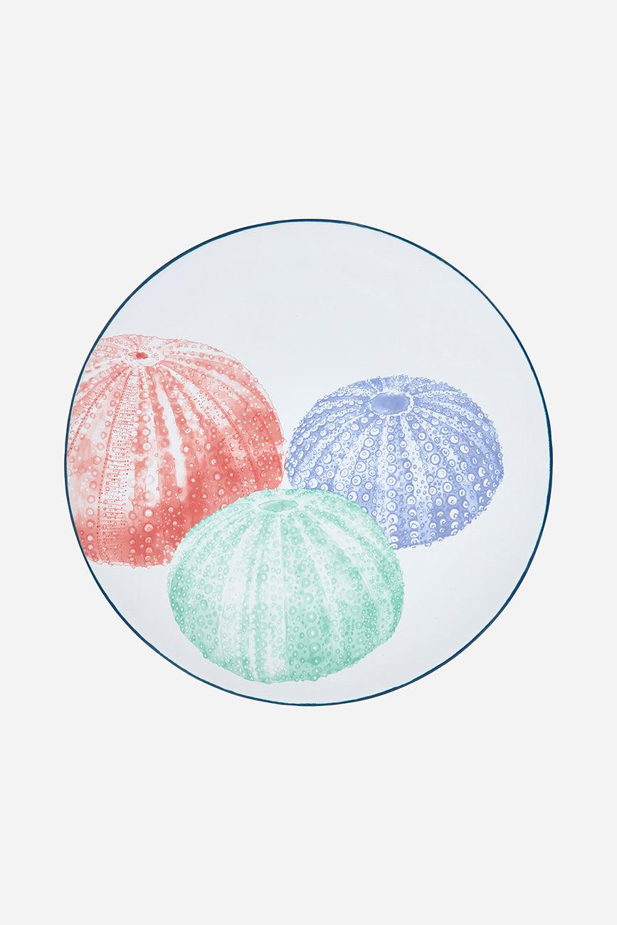 Gresezko plater handia itsas trikuen irudiekin