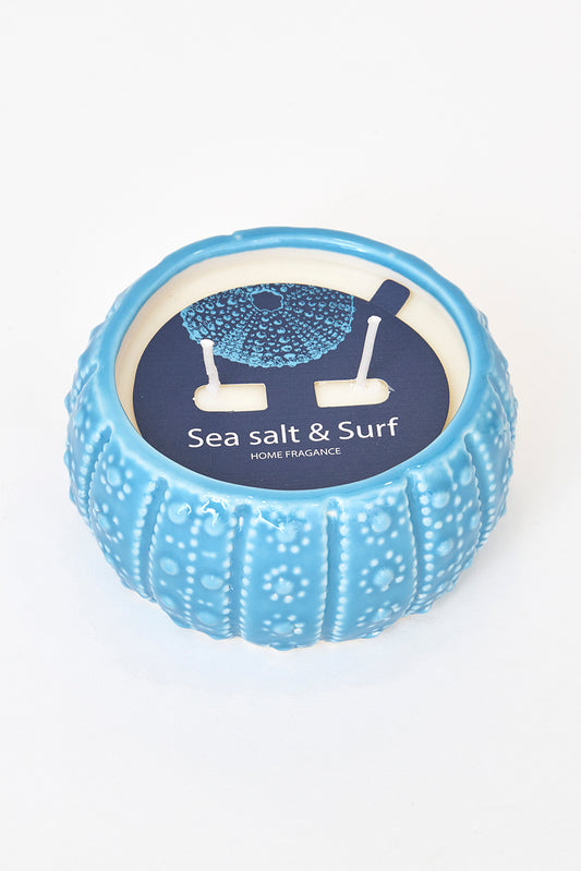 Vela en erizo de mar