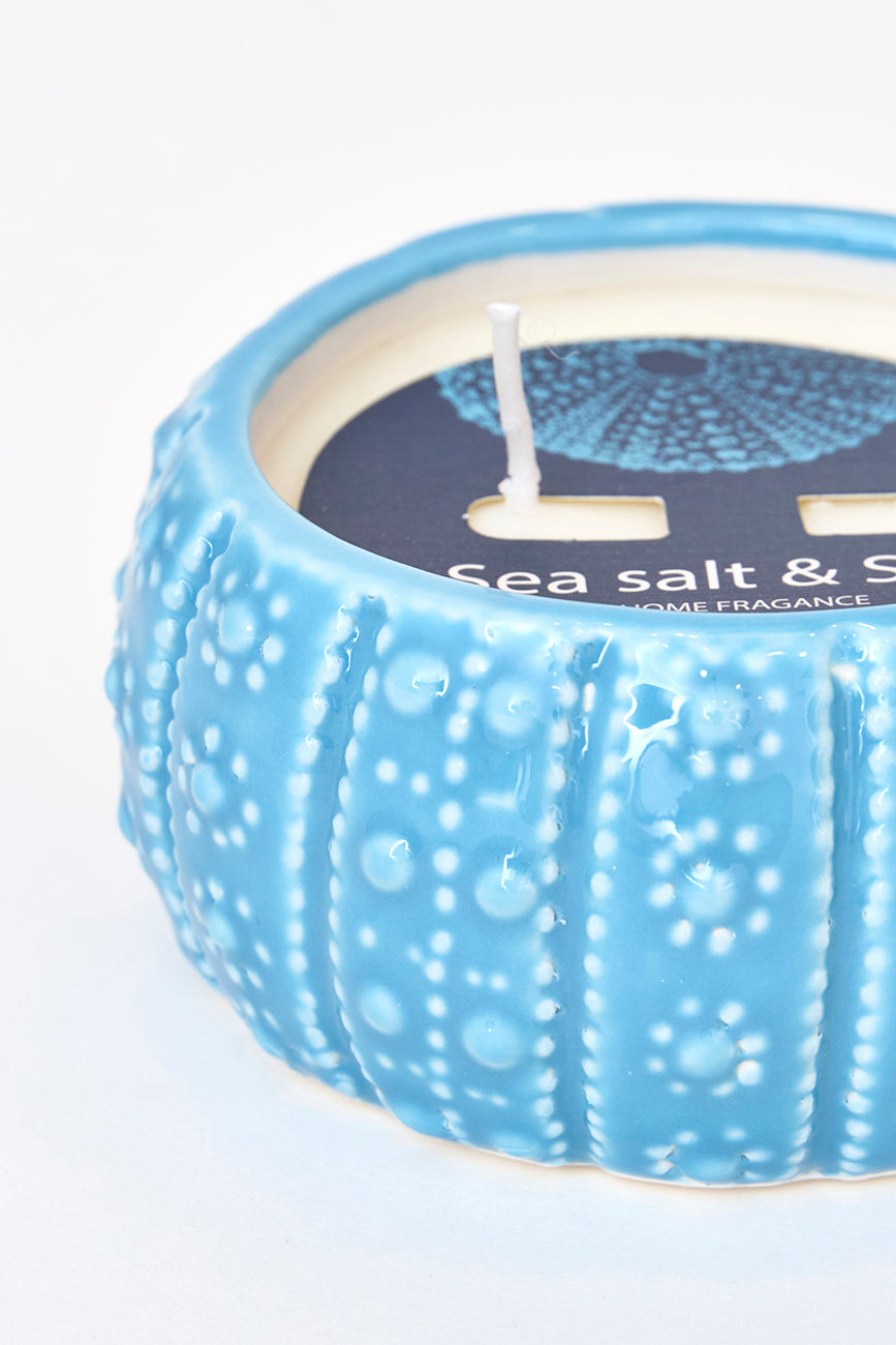 Vela en erizo de mar