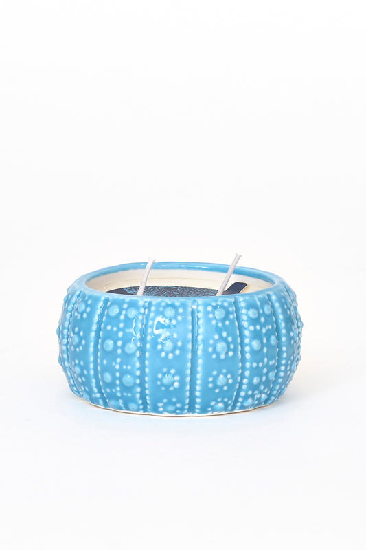 Vela en erizo de mar