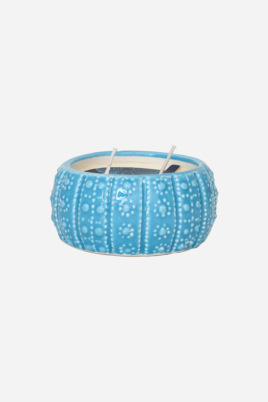 Vela en erizo de mar