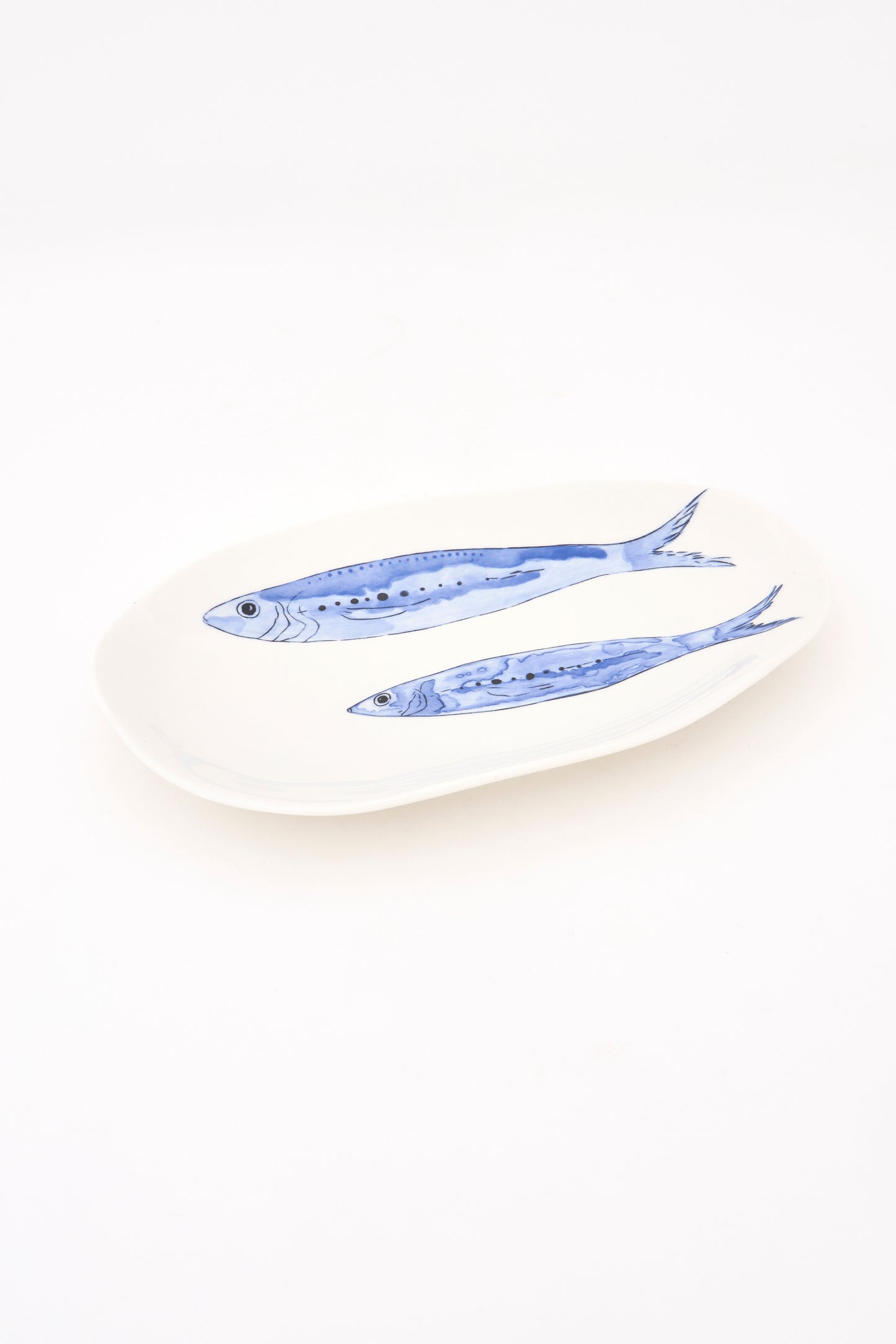 Arrain urdinak dituen forma irregularreko erretilua