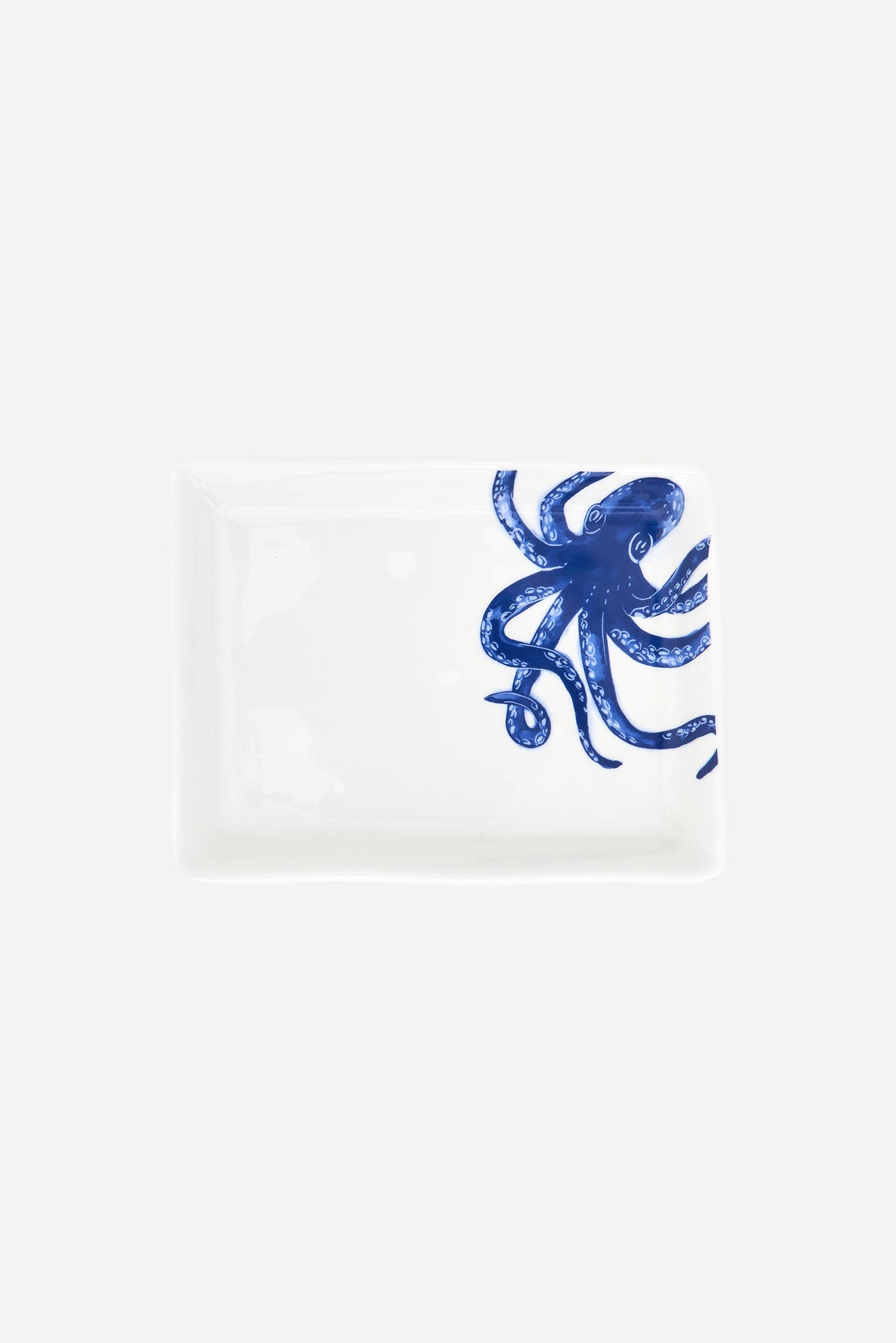 Plato cuadrado con pulpo azul