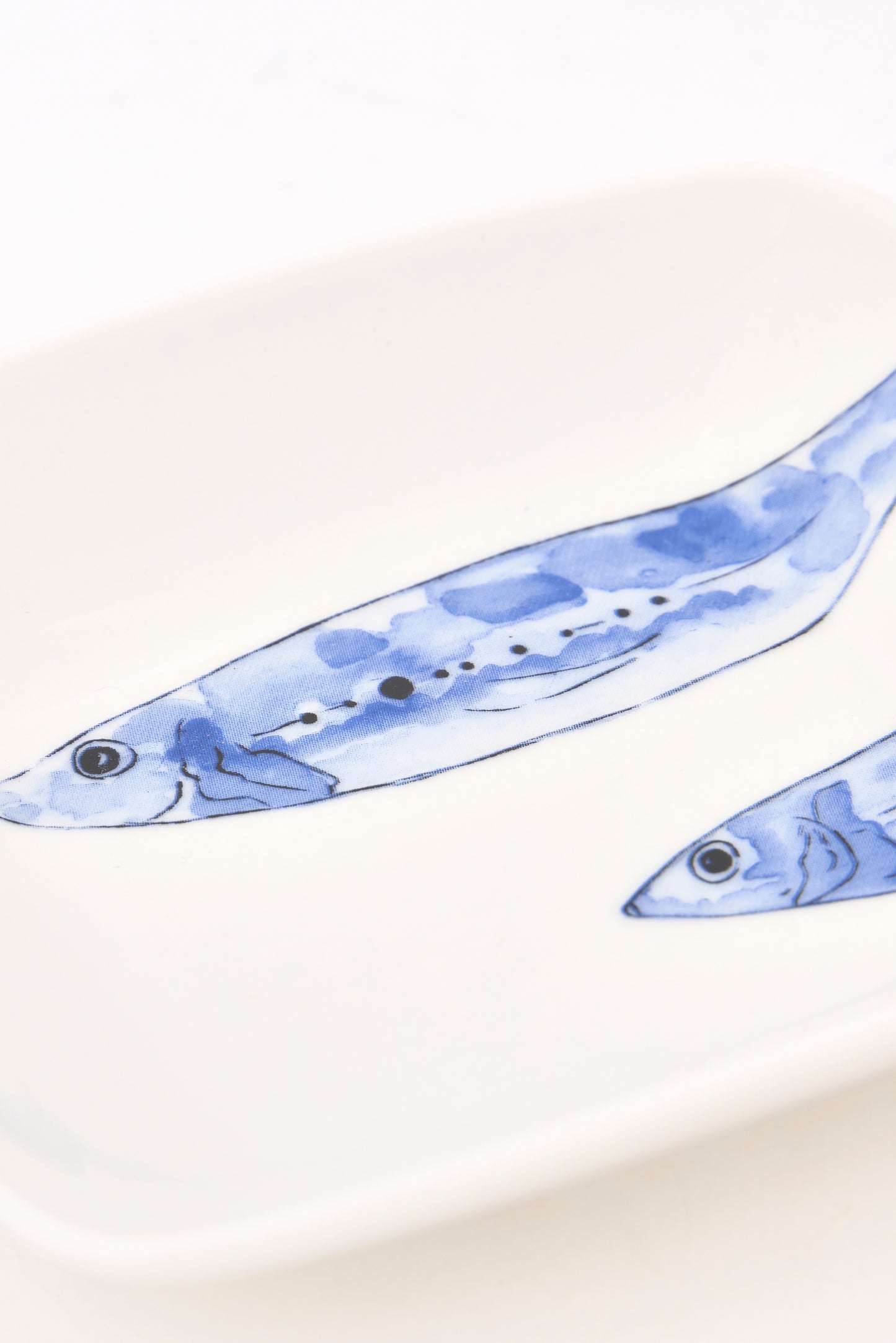 Itsas animalien platertxoak (4ko sorta)