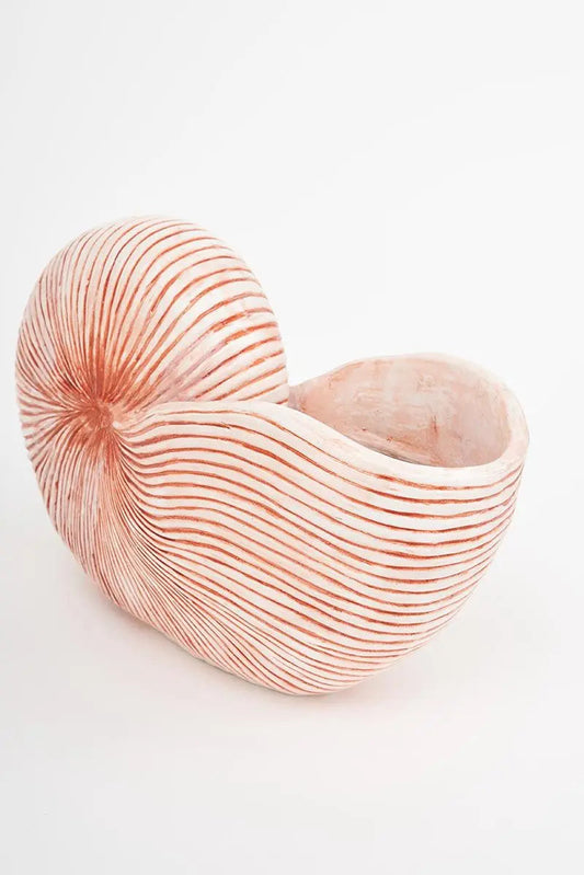 Caracola de resina grande Batela