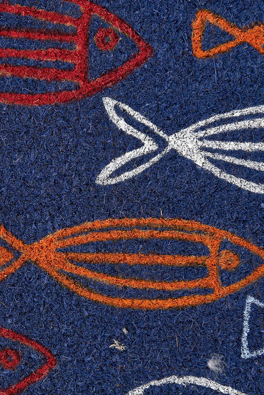 Felpudo semicircunferencia con banco de peces