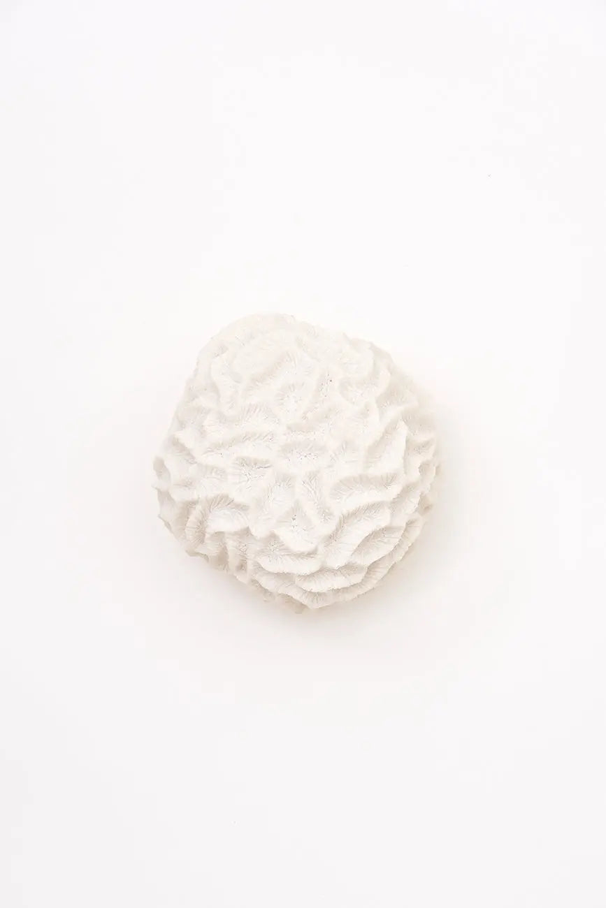 Lámpara con forma de coral hecha en resina