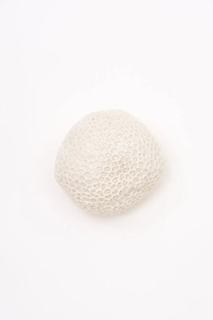Lámpara con forma de coral marino