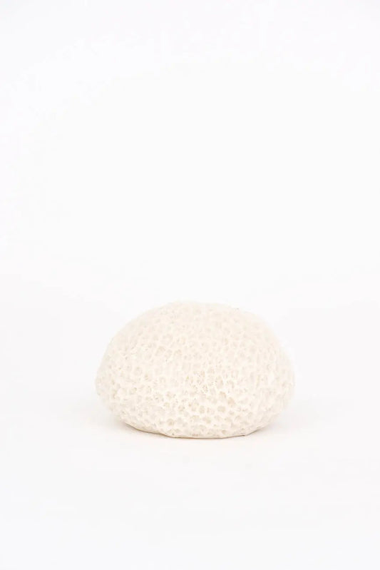 Lámpara con forma de coral marino