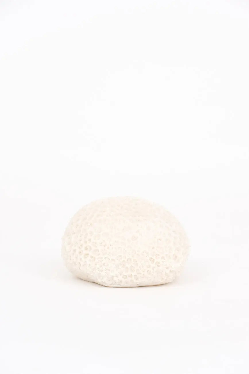 Lámpara con forma de coral marino