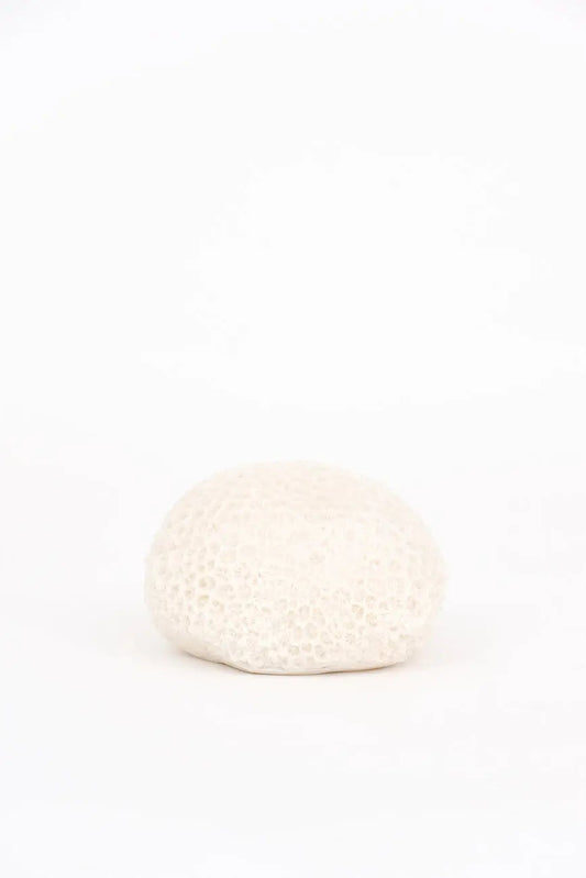 Lámpara con forma de coral marino