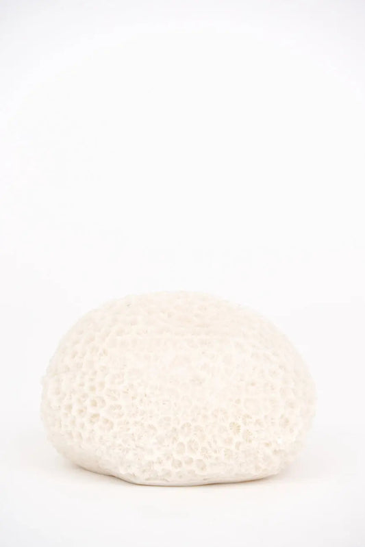 Lámpara con forma de coral marino