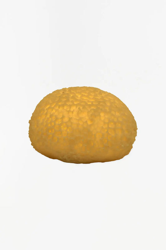 Lámpara con forma de coral marino