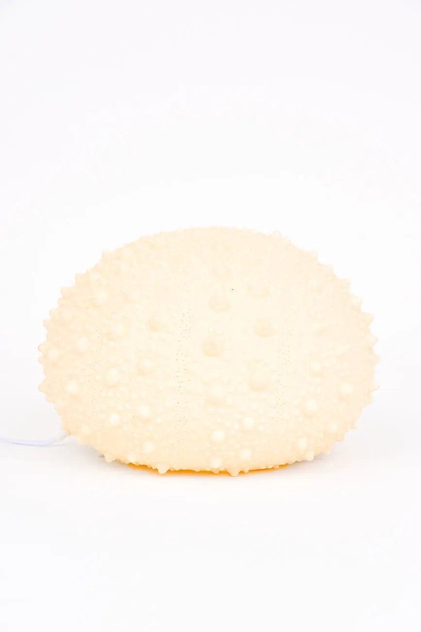 Lámpara con forma de erizo de mar