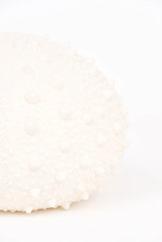 Lámpara con forma de erizo de mar