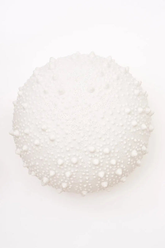 Lámpara con forma de erizo de mar