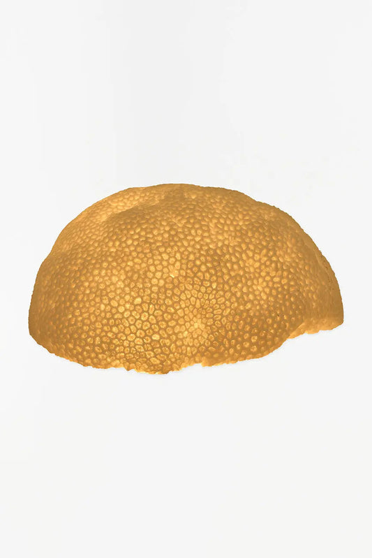 Lámpara de resina con forma de coral