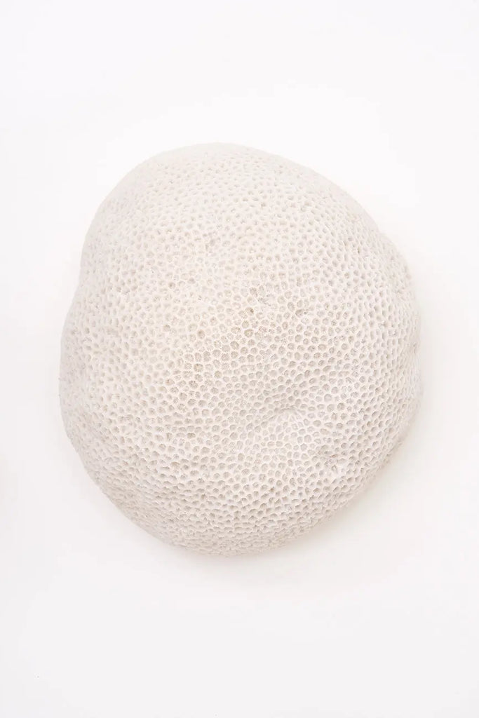 Lámpara de resina con forma de coral
